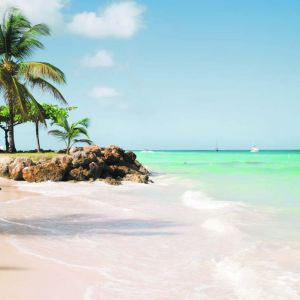 Holidays To Tobago