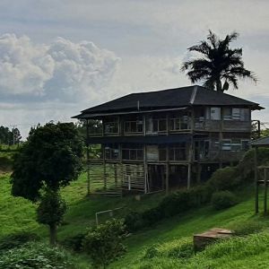 Flights to Uganda from London