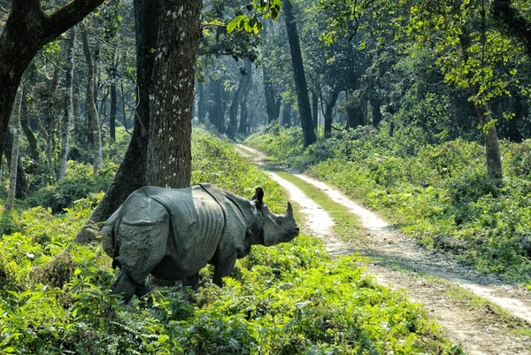 Chitwan