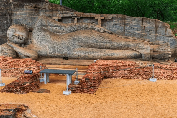 Sri Lanka Wildlife Holiday