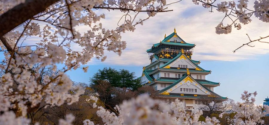 Japan & South Korea Cherry Blossom Cruise – 14 Nights