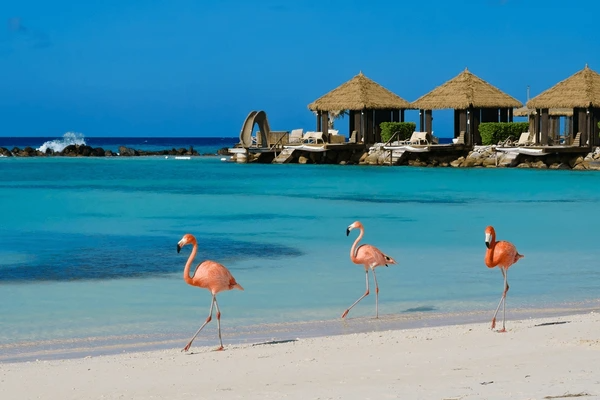Oranjestad