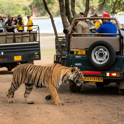 Ranthambore Holiday