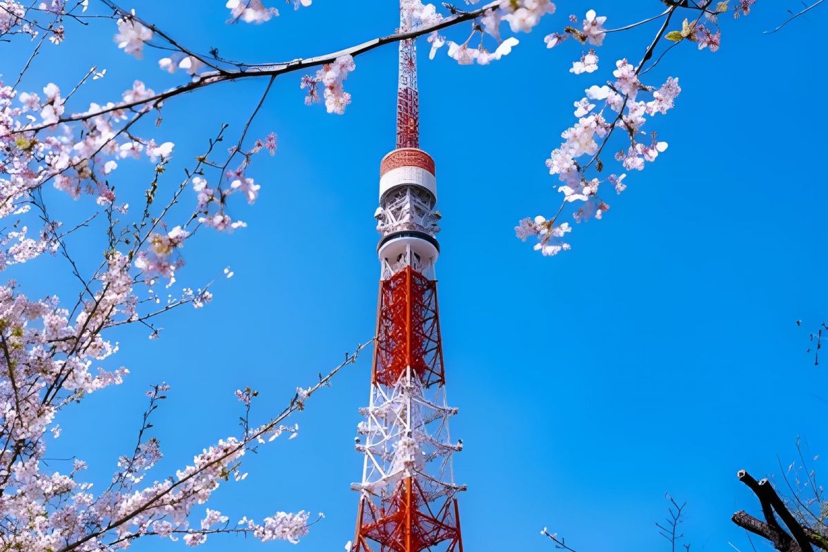 Japan & South Korea Cherry Blossom Cruise – 14 Nights
