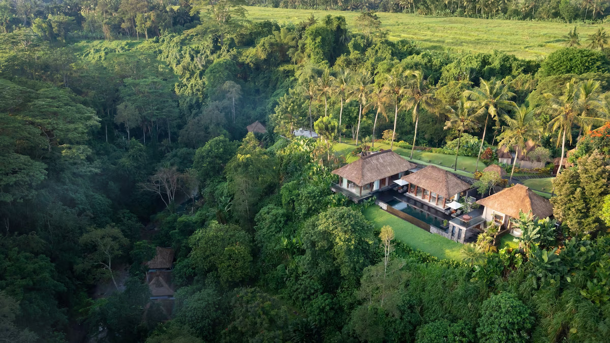 Ubud Holiday Package