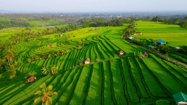 Bali Travels