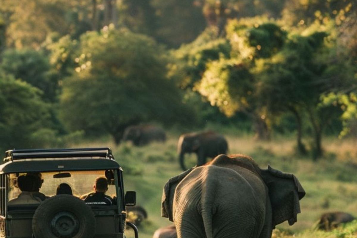 Vietnam & Sri Lanka Discovery